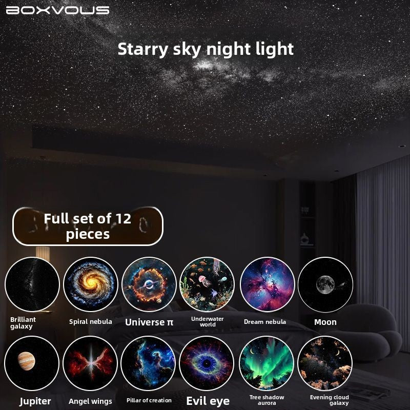 Stars and Whales Projector